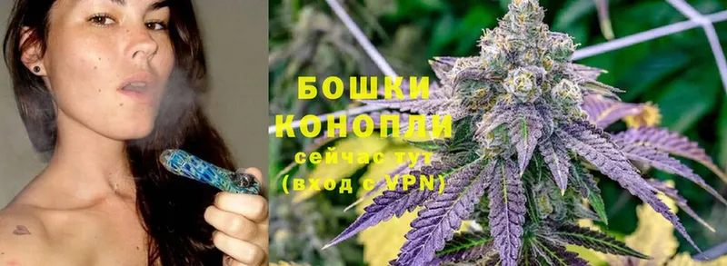 Канабис SATIVA & INDICA  где найти наркотики  Шахты 